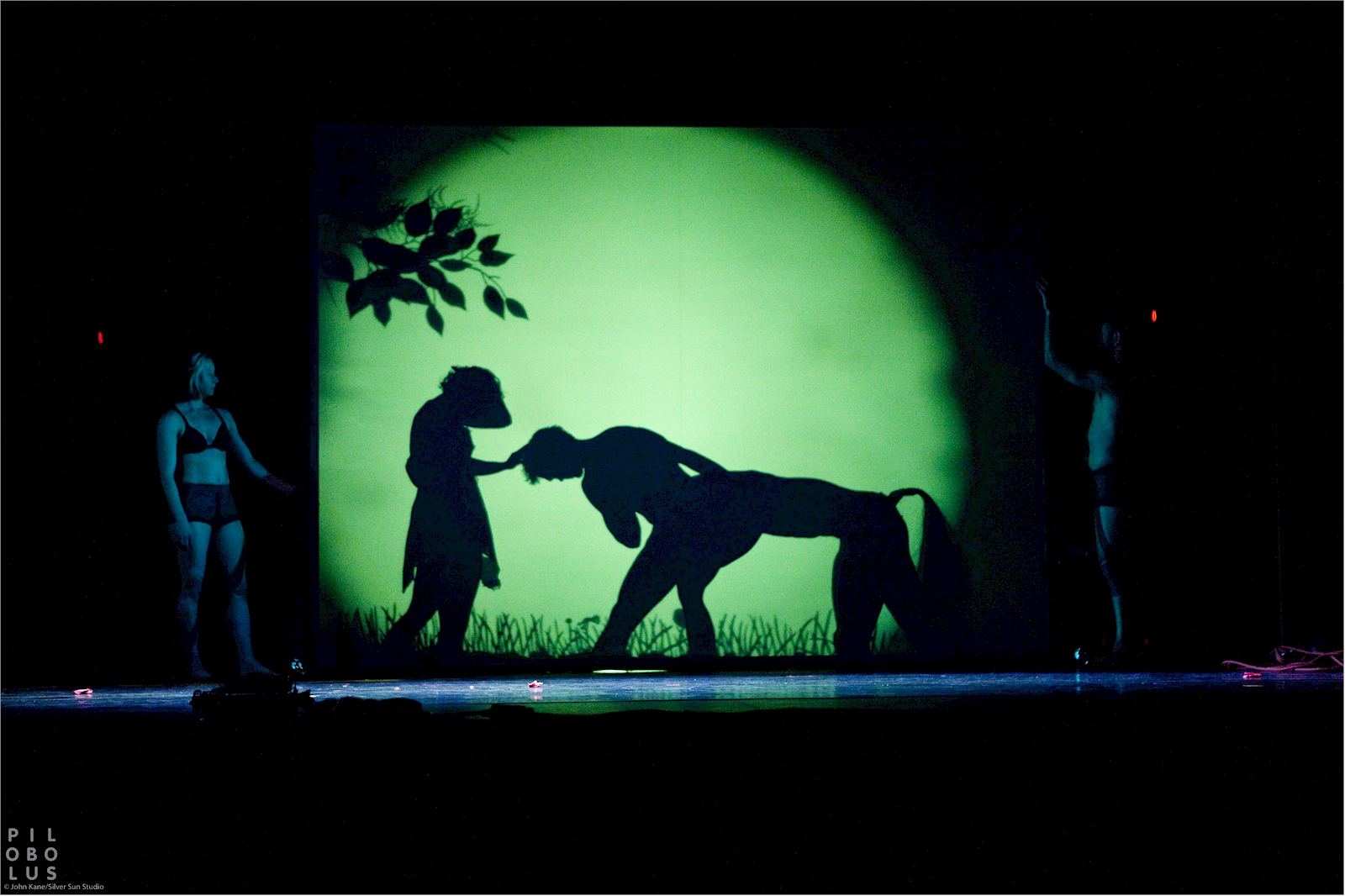 Shadowland_5 Shadowland