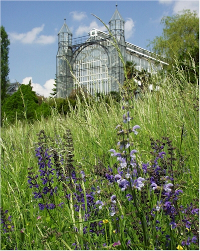 Botanischer Garten -  Mittelmeerhaus und  Salbeiwiese (Foto: Botanischer Garten)