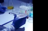 Die ersten CRISPR-Babys sind da Die ersten CRISPR-Babys sind da